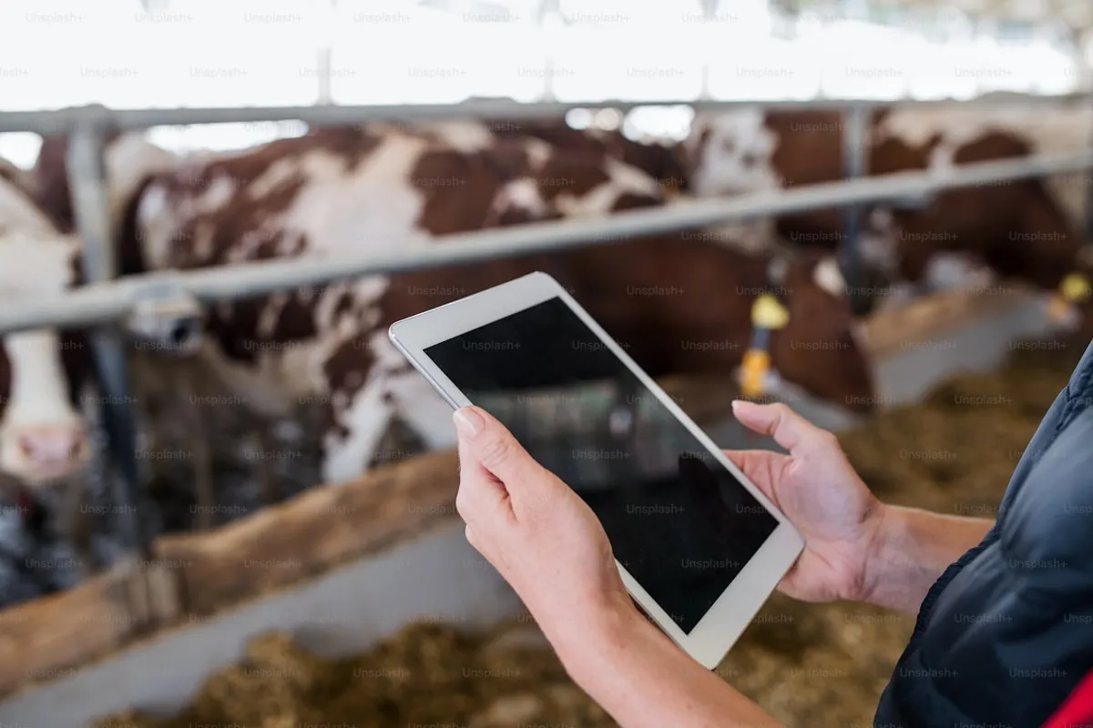 Livestock Monitoring Systems