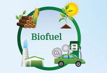 Biofuel